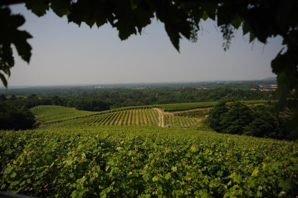 Locanda Villa Cavalleri Gattinara Kültér fotó